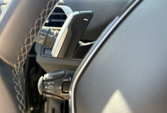 Peugeot 3008  1.2 THP Puretech EAT8 130 cv ACTIVE BUSINESS