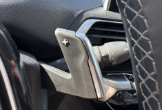 Peugeot 3008  1.2 THP Puretech EAT8 130 cv ACTIVE BUSINESS