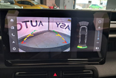 Citroën C3 e-113 44kwh autonomie confort plus  MAX - 1ERE MAIN - CAMERA - GARANTIE 