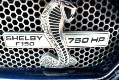 Ford F150 SHELBY SUPER SNAKE 755 / NUMEROTE 