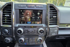 Ford F150 SHELBY SUPER SNAKE 755 / NUMEROTE 