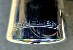 Ford F150 SHELBY SUPER SNAKE 755 / NUMEROTE 