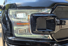 Ford F150 SHELBY SUPER SNAKE 755 / NUMEROTE 