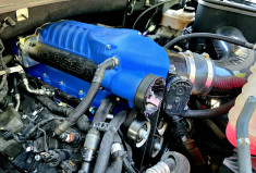 Ford F150 SHELBY SUPER SNAKE 755 / NUMEROTE 