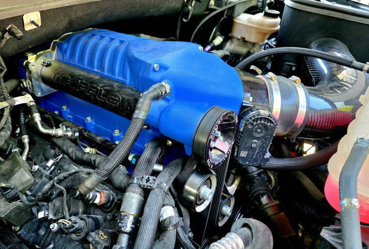 Ford F150 SHELBY SUPER SNAKE 755 / NUMEROTE 