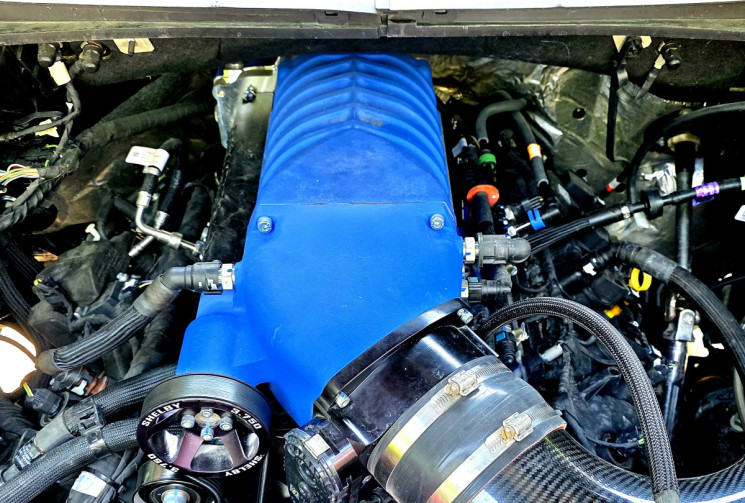 Ford F150 SHELBY SUPER SNAKE 755 / NUMEROTE 