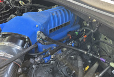 Ford F150 SHELBY SUPER SNAKE 755 / NUMEROTE 