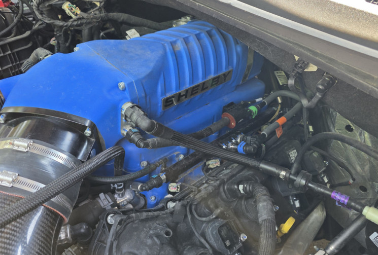 Ford F150 SHELBY SUPER SNAKE 755 / NUMEROTE 