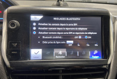 Peugeot 2008 1.6 E-HDI 92 ch FELINE 