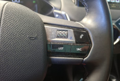 DS DS 3 Crossback  1.5 130 HDI EAT8 CONNECTED CHIC/ TETE HAUTE/DS LED MATRIX VISION