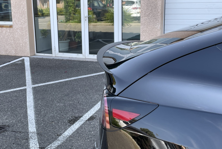 Tesla Model Y  Performance AWD / EAP / 534 ch 