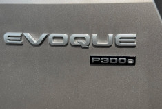 Land-Rover Range Rover Evoque  II P300e 309ch PHEV Essence/Electrique Rechargeable BVA8 4x4 2021