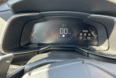 DS DS 7 Crossback 1.5 Blue HDI 130 cv Performance Line BVA Eat 8