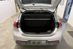 Kia RIO Launch Edition 1.0 GDI 101 ch 