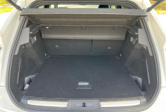 DS DS 7 Crossback 1.5 BlueHDI 130ch Performance Line EAT8 / Suivi constructeur