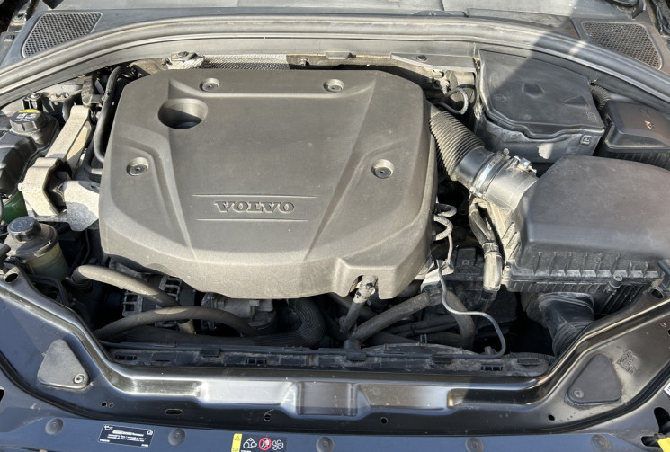 Volvo XC60 2.0 D3 Momentum business 150 cv 4x2 Distribution faite