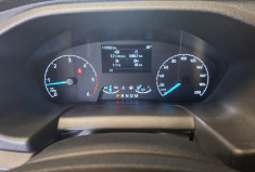 Ford CUSTOM Transit Custom I Phase 2 300 L1H1 2.0 EcoBlue 16V DPF Fourgon 170 
