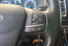 Ford CUSTOM Transit Custom I Phase 2 300 L1H1 2.0 EcoBlue 16V DPF Fourgon 170 