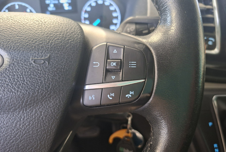 Ford CUSTOM Transit Custom I Phase 2 300 L1H1 2.0 EcoBlue 16V DPF Fourgon 170 