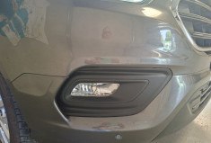 Ford CUSTOM Transit Custom I Phase 2 300 L1H1 2.0 EcoBlue 16V DPF Fourgon 170 