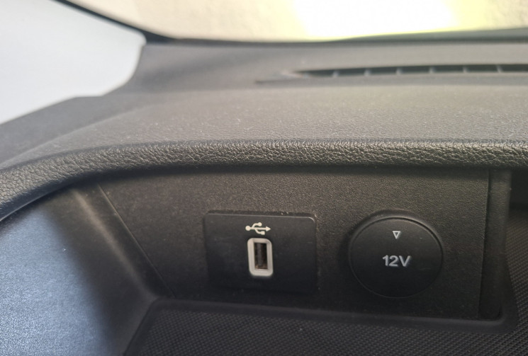 Ford CUSTOM Transit Custom I Phase 2 300 L1H1 2.0 EcoBlue 16V DPF Fourgon 170 