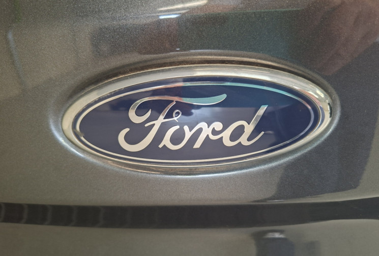 Ford CUSTOM Transit Custom I Phase 2 300 L1H1 2.0 EcoBlue 16V DPF Fourgon 170 