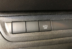 Peugeot 208 ACTIVE BLEUHDI 100CH 