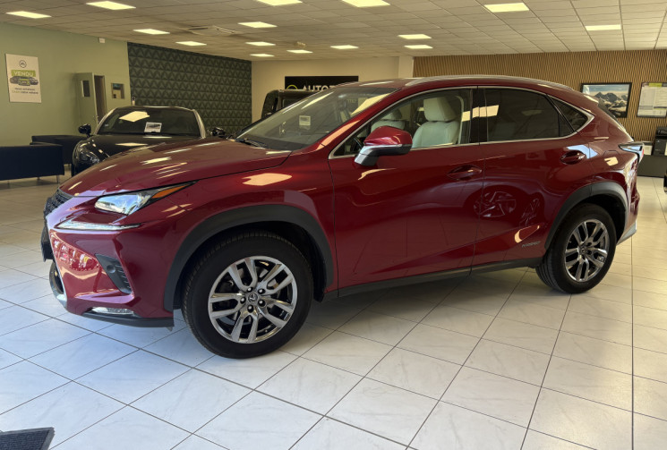Lexus NX Series NX 300h HEV Luxe aut