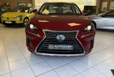 Lexus NX Series NX 300h HEV Luxe aut
