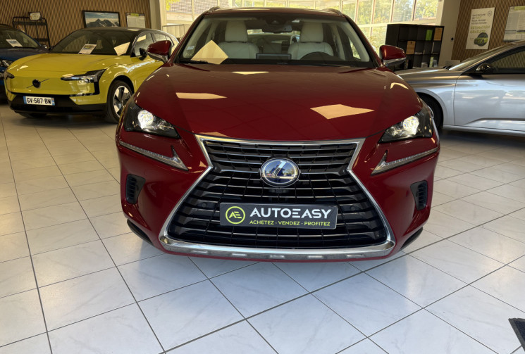 Lexus NX Series NX 300h HEV Luxe aut