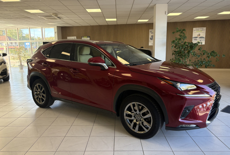 Lexus NX Series NX 300h HEV Luxe aut