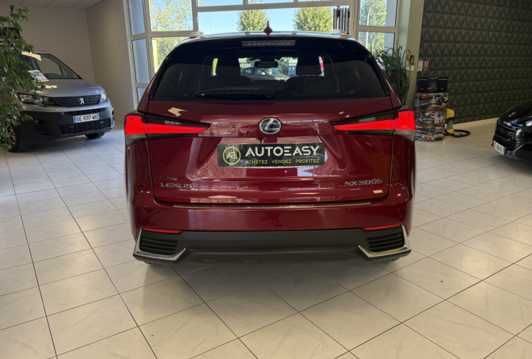Lexus NX Series NX 300h HEV Luxe aut