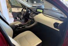 Lexus NX Series NX 300h HEV Luxe aut