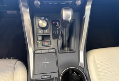 Lexus NX Series NX 300h HEV Luxe aut