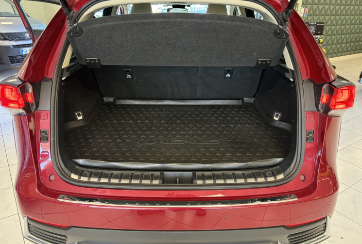 Lexus NX Series NX 300h HEV Luxe aut