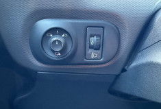 Citroën C4 CACTUS PureTech 130 ch S&S Shine