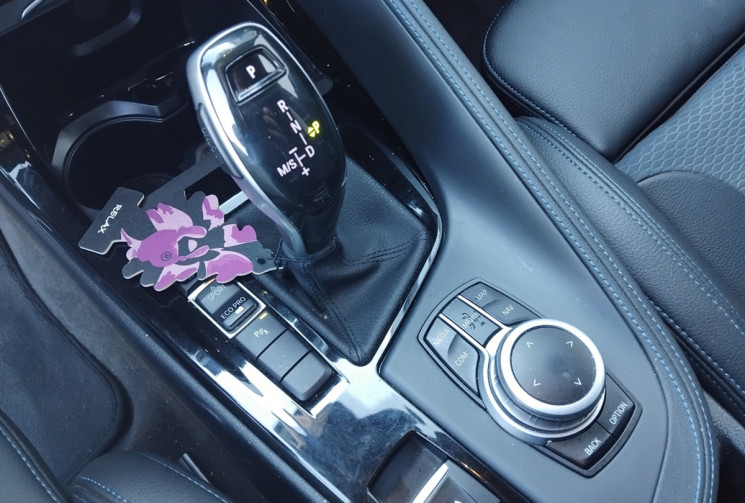 BMW X2 2.0 sDrive18d 150ch M Sport - Suivi - HK -