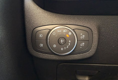 Ford Fiesta VII 5 portes 1.0 SCTi S&S 100 CV * Boîte auto * Clim * Carplay