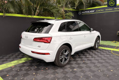 Audi Q5  II 2.0 TDI Quattro S-Tronic7 163cv LUXE