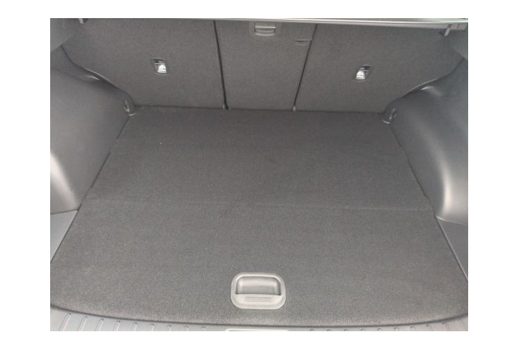 Hyundai TUCSON IV Executive 1.6 T-GDI 239 Hybrid BVA6 Pine Green