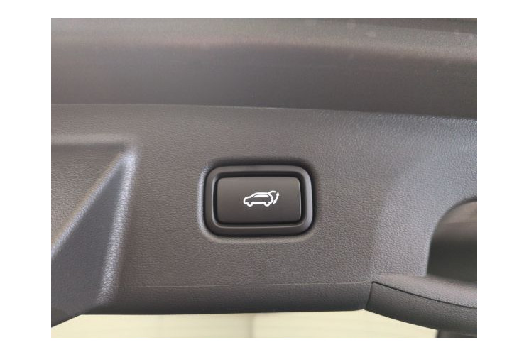 Hyundai TUCSON IV Executive 1.6 T-GDI 239 Hybrid BVA6 Pine Green
