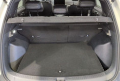 Byd ATTO 2 ELECTRIQUE Comfort 64.8 kWh 204 ch Hiking Green