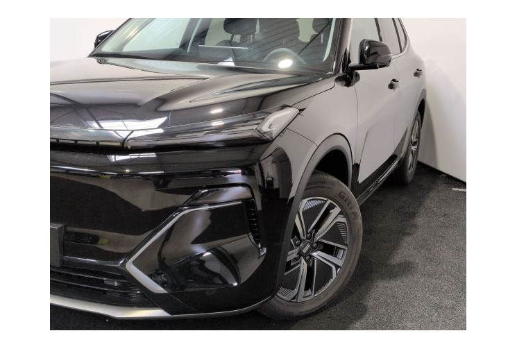 Geely STARRAY Pro EM-i 99+217ch Polar Black