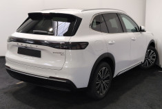 Geely STARRAY Max EM-i 99+217ch Alpine White