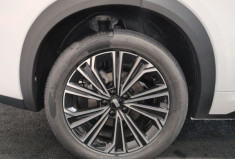 Geely STARRAY Max EM-i 99+217ch Alpine White