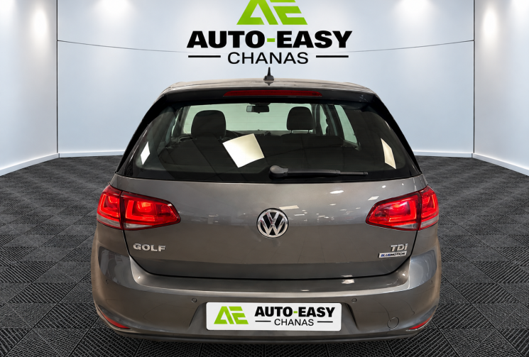 Volkswagen Golf VOLKSWAGEN GOLF Golf 1.6 TDI 110 BlueMotion Technology