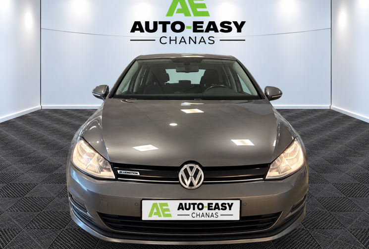 Volkswagen Golf VOLKSWAGEN GOLF Golf 1.6 TDI 110 BlueMotion Technology