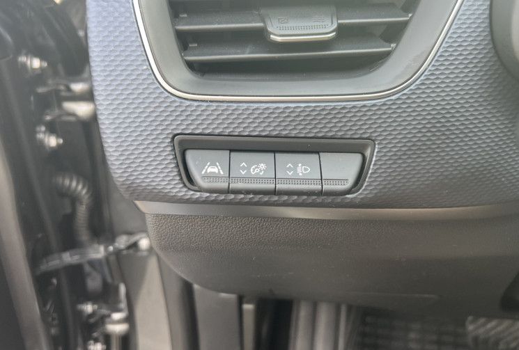 Renault Arkana business