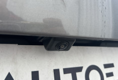 Renault Arkana business