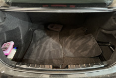 BMW Série 3 F30 - 320i Lounge 184 Très bel état / Suivi rigoureux BMW / Clim auto / Radar AR